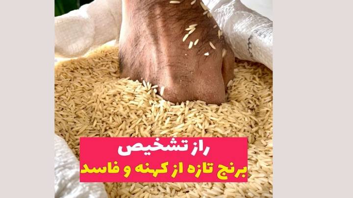 روش تشخیص برنج تازه و کهنه