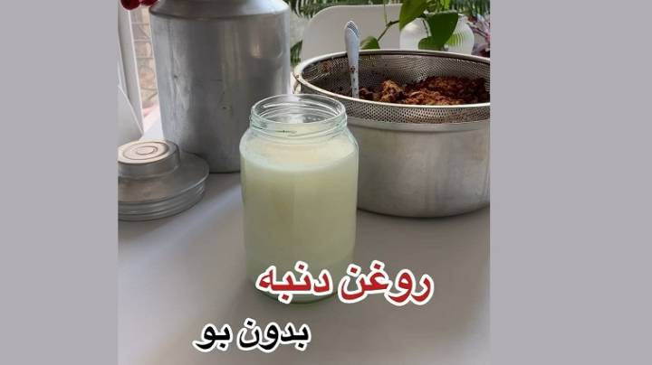 تهیه روغن دنبه بدون بو