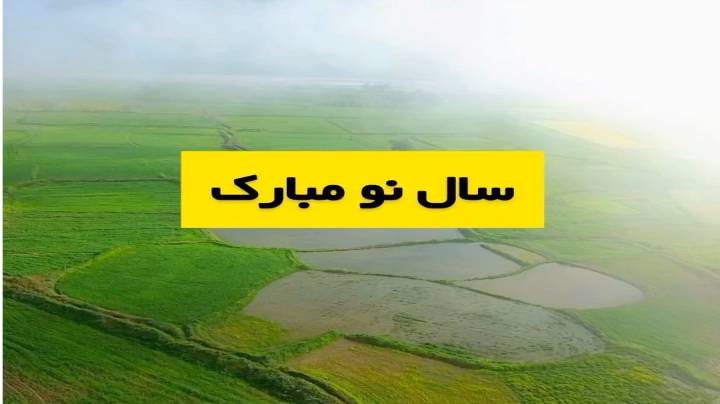 ان شا له امسال همون سال باشه