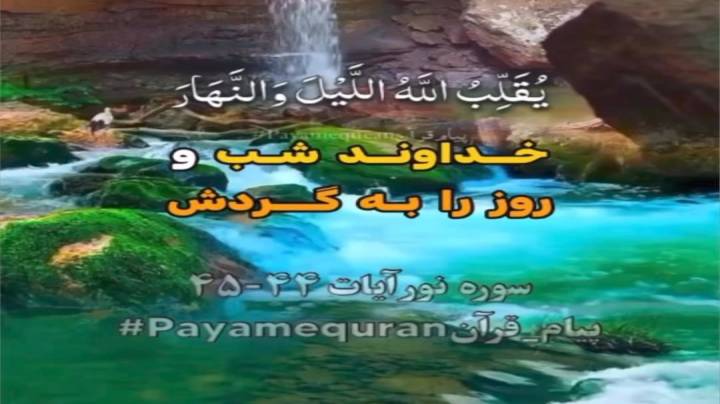 آیات قرآن در مورد جانداران ببینید