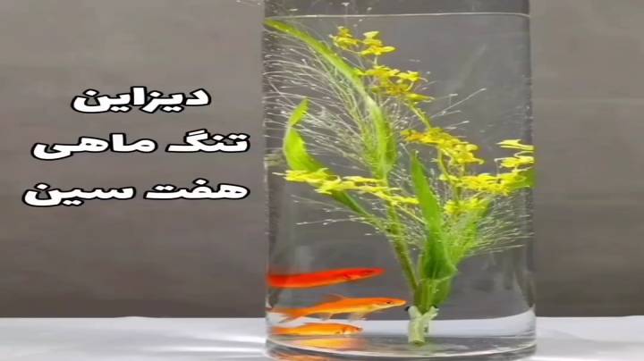 دیزاین تنگ ماهی هفت سین چ جوری ؟