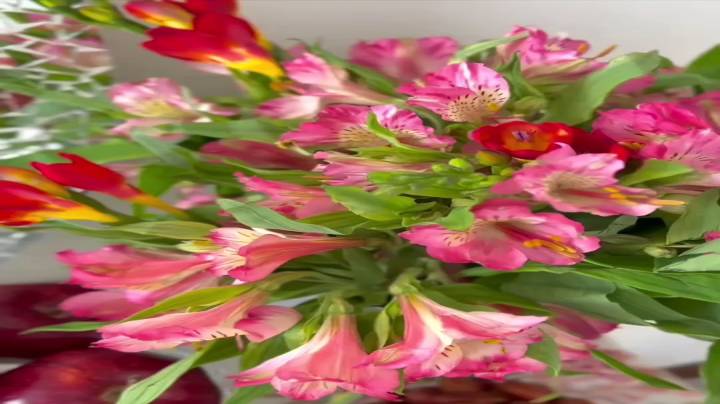 هفت سین زیبا برای عید 1403